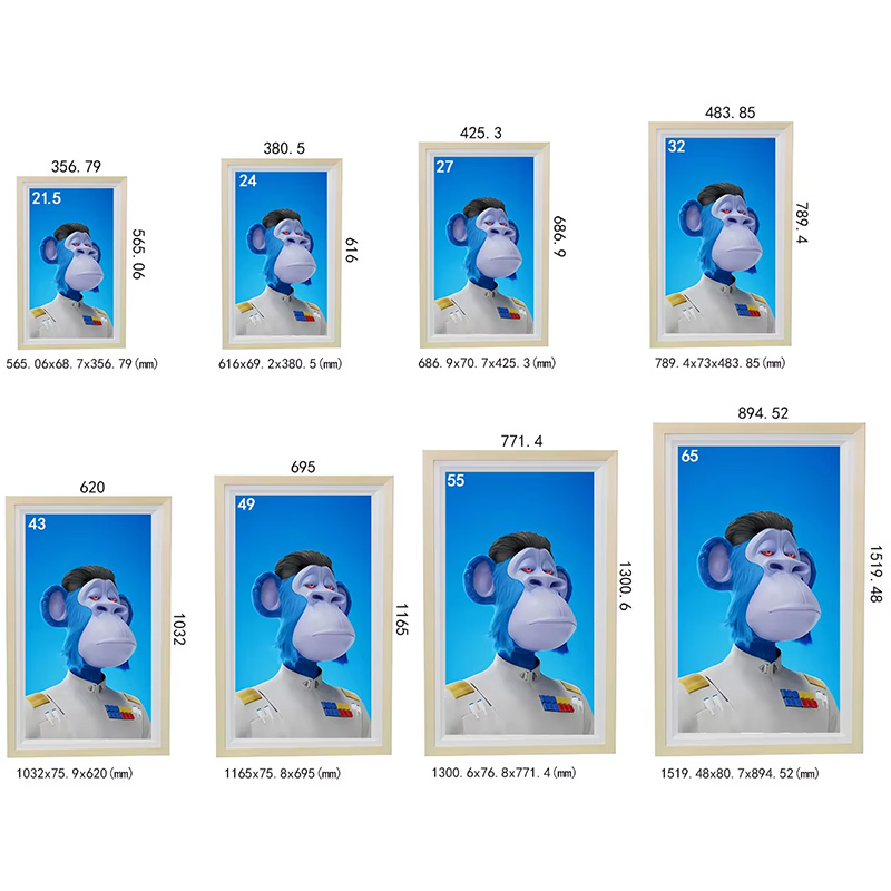Digital photo frames 21.5-65 inches (6)