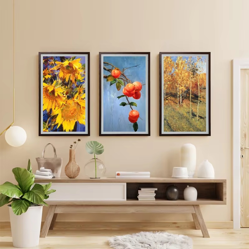 advanced digital picture frame
